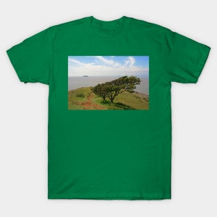 Brean Down, Steep Holm & Flat Holm T-Shirt